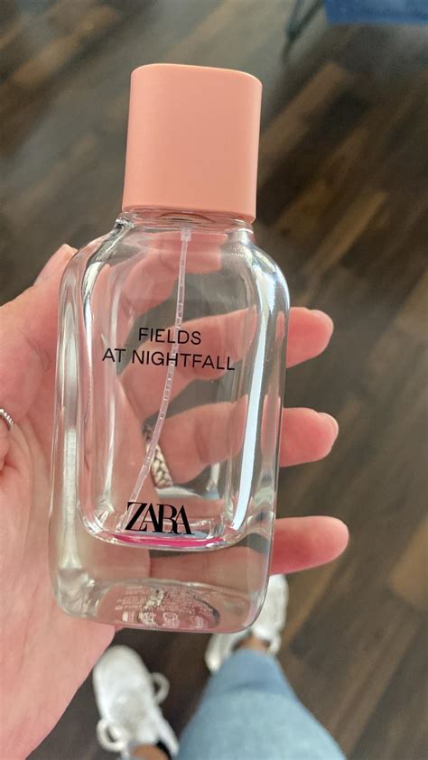 zara dupes perfumes 2024|fields at nightfall zara dupe.